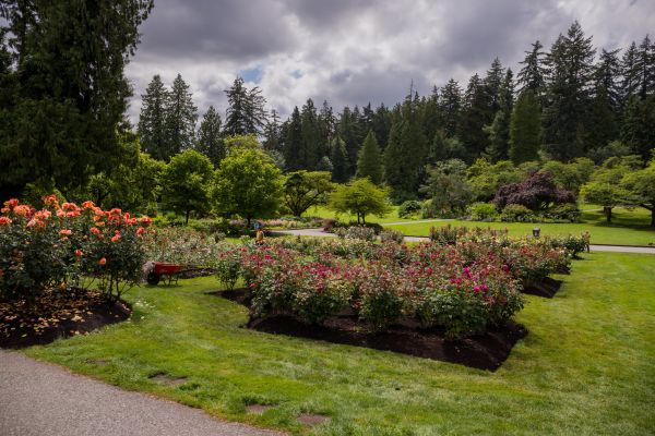 Flower Garden Landscaping in Rockford