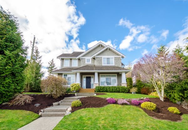Landscaping Replacement in Rockford