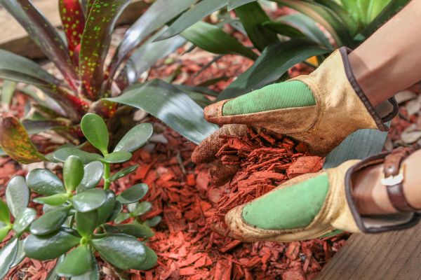 Residential Mulching in Rockford