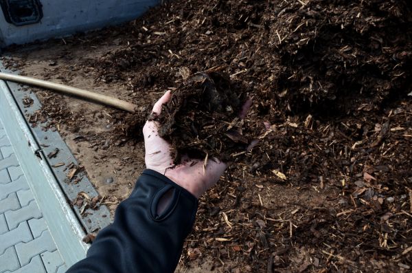 Condo Mulching in Rockford