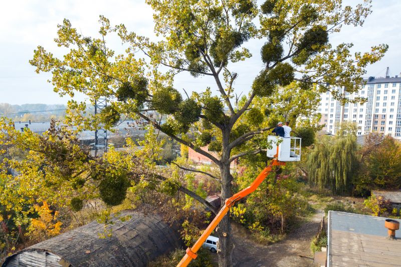 Tree Installation Service detail