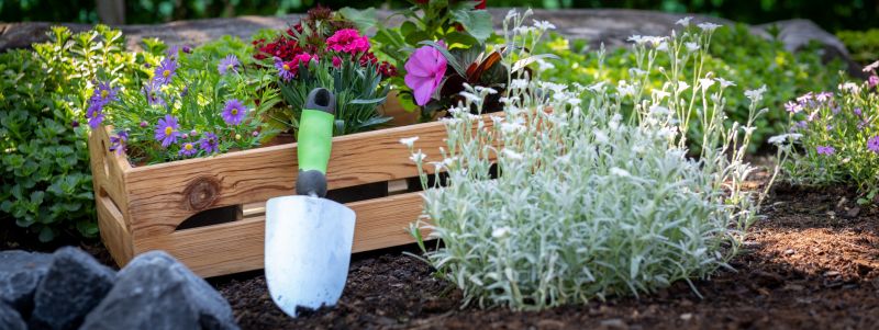 Garden Planting Service