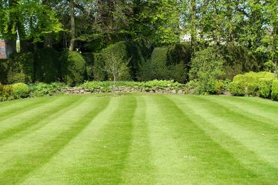 Completed Landscape with Lawn