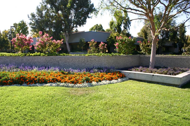 Perennial Flower Beds