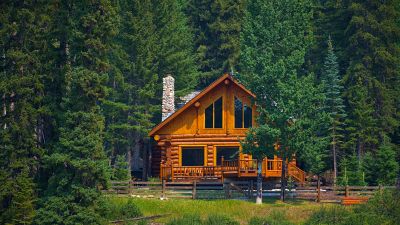 Log Home Landscaping